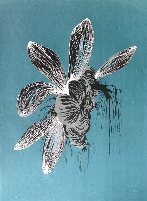 Carolina Acuña | Arte Court