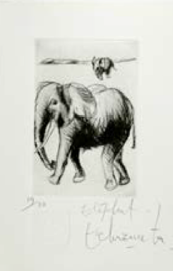 Alfredo Echazarreta GA0029