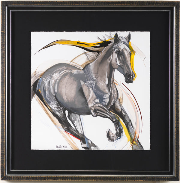 Ángela Leible 70-1850